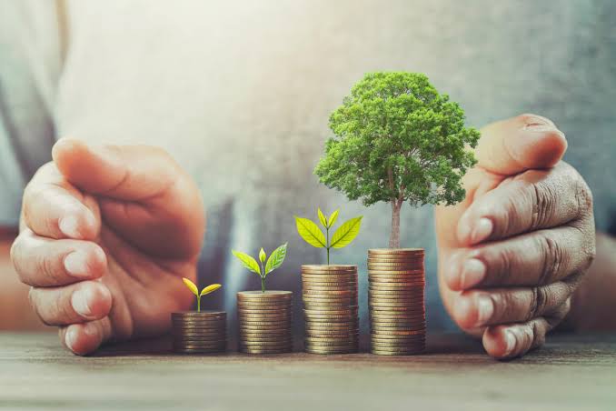 “Financial consultancy and investment planning for long-term financial growth”